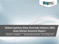 Global Capillary Glass Electrode Industry - Size, Share, Trends, Demand, Report, Opportunities and Forecast PowerPoint PPT Presentation