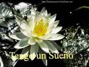 Tengo un sue