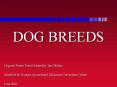 DOG BREEDS PowerPoint PPT Presentation