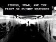 STRESS, FEAR, AND THE FIGHT OR FLIGHT RESPONSE PowerPoint PPT Presentation