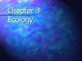 Ecology PowerPoint PPT Presentation