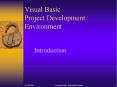 Visual Basic Project Development Environment PowerPoint PPT Presentation