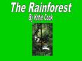 The Rainforest PowerPoint PPT Presentation