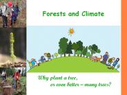 Forests%20and%20Climate