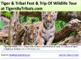 Trip Of Wildlife Tour, Save Our Tigers PowerPoint PPT Presentation
