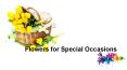 Flowers for Special Occasions PowerPoint PPT Presentation