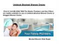 Unblock Blocked Shower Drains (1) PowerPoint PPT Presentation