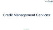 Credit Management Services