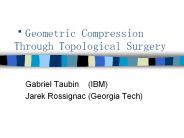 Geometric Compression Through Topological Surgery