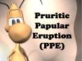 Pruritic Papular Eruption (PPE) PowerPoint PPT Presentation