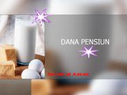 DANA PENSIUN