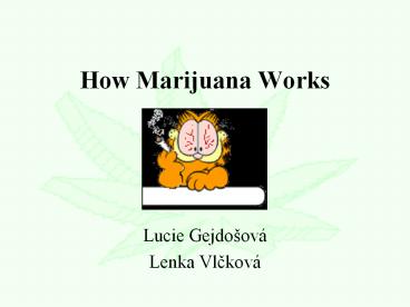 How Marijuana Works