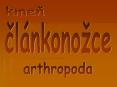 arthropoda PowerPoint PPT Presentation