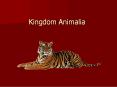 Kingdom Animalia PowerPoint PPT Presentation