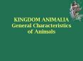 KINGDOM ANIMALIA General Characteristics of Animals PowerPoint PPT Presentation