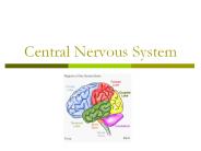 Central Nervous System