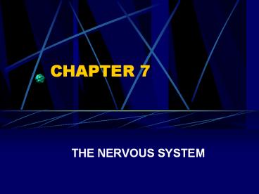 THE NERVOUS SYSTEM