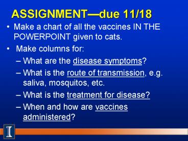 presentation player overlay