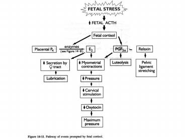 PUERPERIUM AND LACTATION