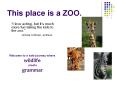 This place is a ZOO. PowerPoint PPT Presentation