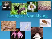 Living vs. Non Living