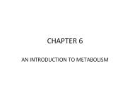 AN INTRODUCTION TO METABOLISM