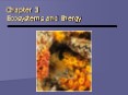 Chapter 3 Ecosystems and Energy PowerPoint PPT Presentation