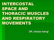 INTERCOSTAL SPACE AND THORACIC MUSCLES AND RESPIRATORY MOVEMENTS