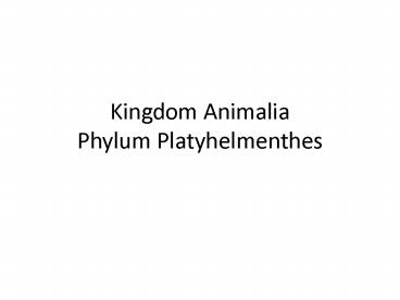 Kingdom Animalia Phylum Platyhelmenthes