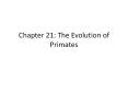 Chapter%2021:%20The%20Evolution%20of%20Primates PowerPoint PPT Presentation