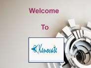 Web application development company india