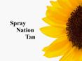 Affordable Spray Tans Packages PowerPoint PPT Presentation