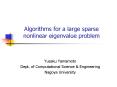 Algorithms for a large sparse nonlinear eigenvalue problem PowerPoint PPT Presentation