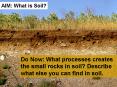 Do Now: What processes creates the small rocks in soil? Describe what else you can find in soil. PowerPoint PPT Presentation