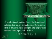 Production Function