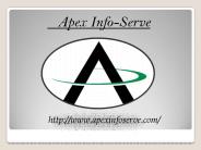 New York SEO Services -  Apex Info-Serve