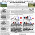 Effects of Red Cedar on Invertebrate Abundance and Morphospecies Richness PowerPoint PPT Presentation