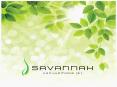 Savannah brochure PowerPoint PPT Presentation