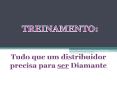 Tudo que um distribuidor precisa para ser Diamante PowerPoint PPT Presentation