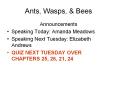 Ants, Wasps, PowerPoint PPT Presentation