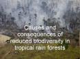 Causes and consequences of reduced biodiversity in tropical rain forests PowerPoint PPT Presentation