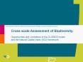 Cross-scale Assessment of Biodiversity; Opportunities and Limitations of the GLOBIO3 model and the Natural Capital Index (NCI) framework PowerPoint PPT Presentation