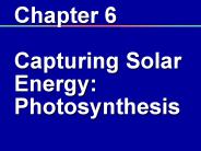 Chapter 6 Capturing Solar Energy: Photosynthesis