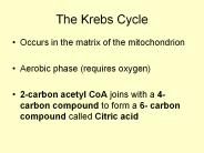 The Krebs Cycle