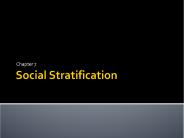 Social Stratification