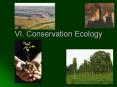 VI. Conservation Ecology PowerPoint PPT Presentation