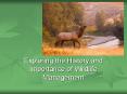 Exploring the History and Importance of Wildlife Management PowerPoint PPT Presentation