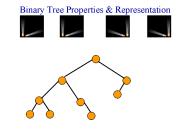 Binary Tree Properties