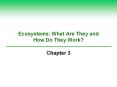 Ecosystems: What Are They and How Do They Work? PowerPoint PPT Presentation