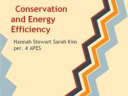 Conservation and Energy Efficiency